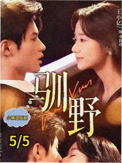 字幕译法对照资讯配图